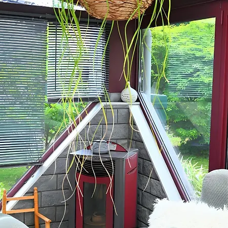 L Orchidee